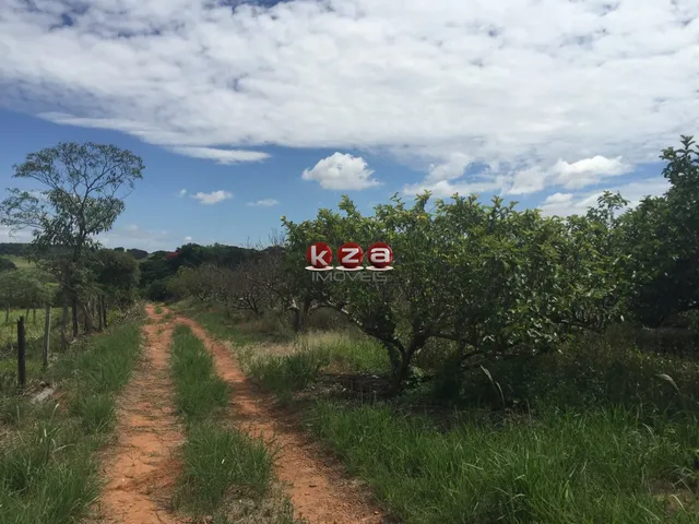 Imagem 11: Sitio À Venda em Valinhos-Sp: 3 Quartos, 1 Sala, 2 Banheiros, 46.000M² de Área no Bairro Macuco!