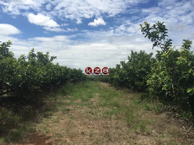Imagem 12: Sitio À Venda em Valinhos-Sp: 3 Quartos, 1 Sala, 2 Banheiros, 46.000M² de Área no Bairro Macuco!