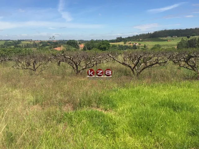 Imagem 13: Sitio À Venda em Valinhos-Sp: 3 Quartos, 1 Sala, 2 Banheiros, 46.000M² de Área no Bairro Macuco!