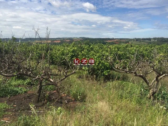 Imagem 14: Sitio À Venda em Valinhos-Sp: 3 Quartos, 1 Sala, 2 Banheiros, 46.000M² de Área no Bairro Macuco!