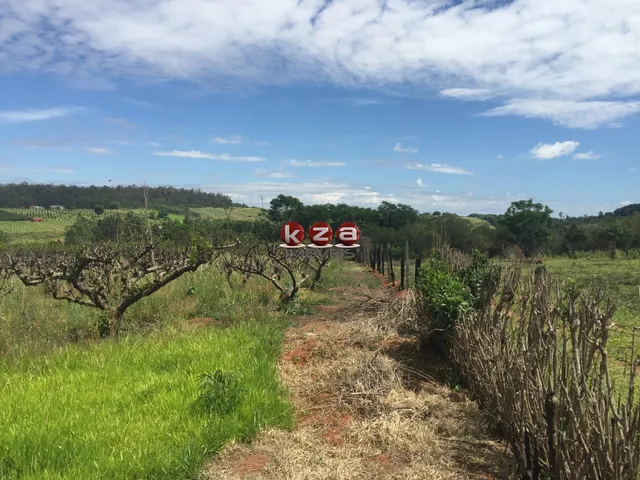 Imagem 15: Sitio À Venda em Valinhos-Sp: 3 Quartos, 1 Sala, 2 Banheiros, 46.000M² de Área no Bairro Macuco!