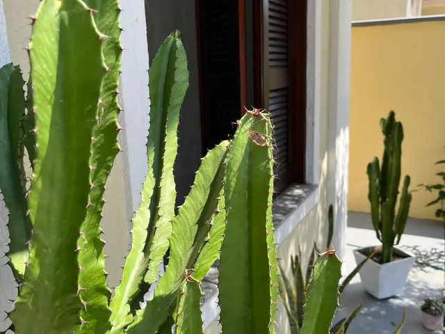 Imagem 15: CASA EM CONDOMÍNIO NA LAGOA REDONDA