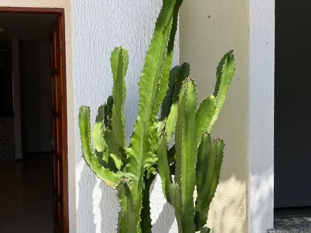 Imagem 11: CASA EM CONDOMÍNIO NA LAGOA REDONDA