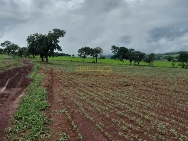 Imagem: Fazenda á Venda