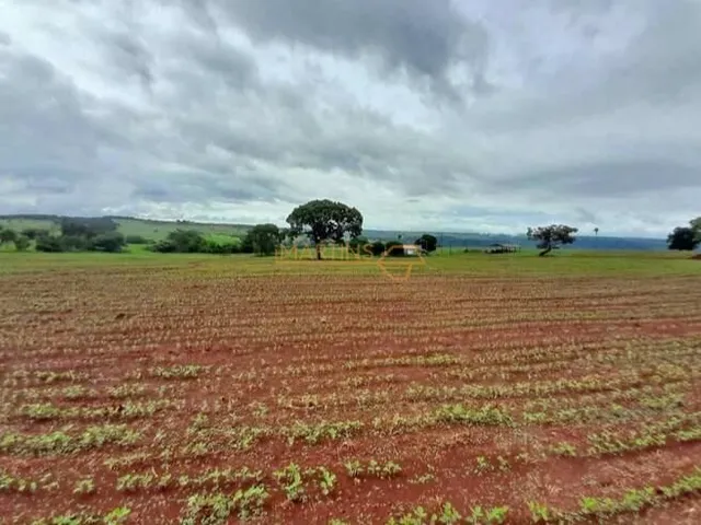 Imagem 8: Fazenda á Venda