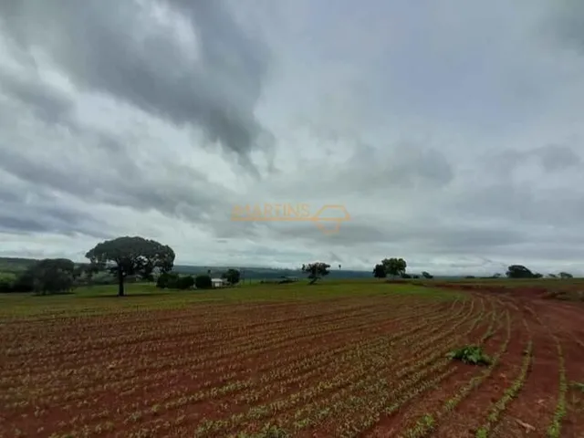 Imagem 4: Fazenda á Venda