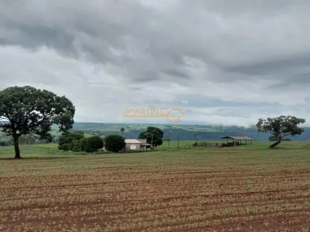Imagem 7: Fazenda á Venda