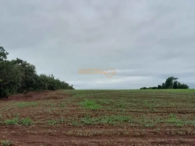 Imagem 6: Fazenda á Venda