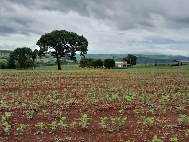 Imagem 5: Fazenda á Venda