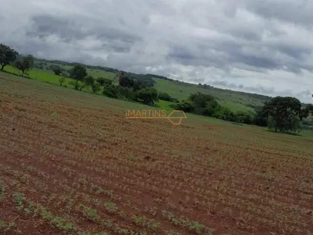 Imagem 3: Fazenda á Venda