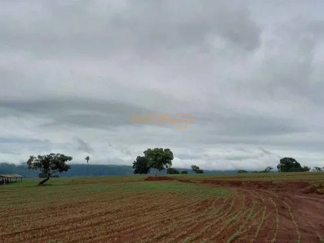 Imagem 2: Fazenda á Venda