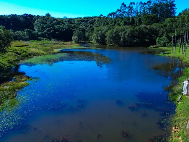 Imagem 13: CHACARA RURAL em São José dos Pinhais - PR, Contenda