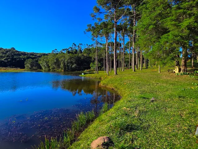 Imagem 3: CHACARA RURAL em São José dos Pinhais - PR, Contenda