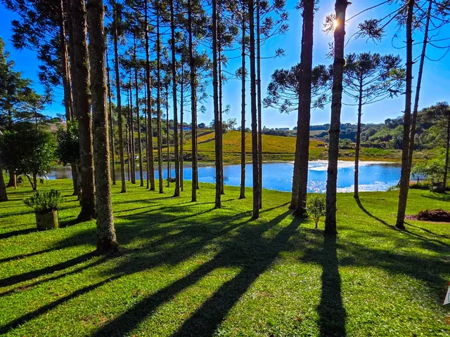 Imagem 4: CHACARA RURAL em São José dos Pinhais - PR, Contenda