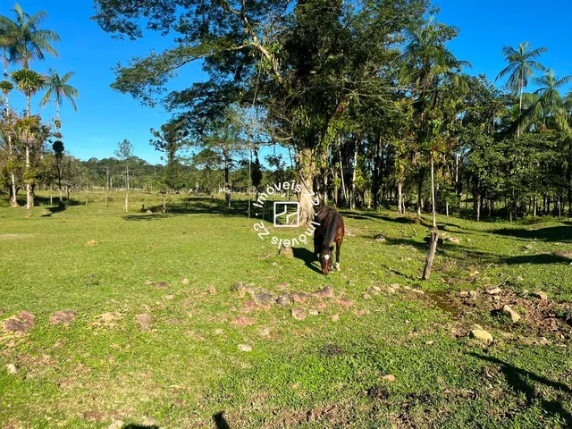 Imagem 2: CHACARA A VENDA NO BAIRRO VILA NOVA