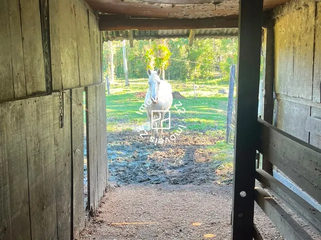 Imagem 11: CHACARA A VENDA NO BAIRRO VILA NOVA