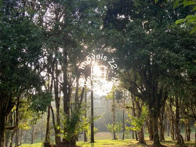 Imagem: TERRENO A VENDA EM CAMPO ALEGRE