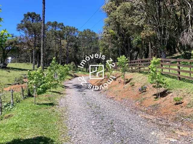 Imagem 2: TERRENO A VENDA EM CAMPO ALEGRE