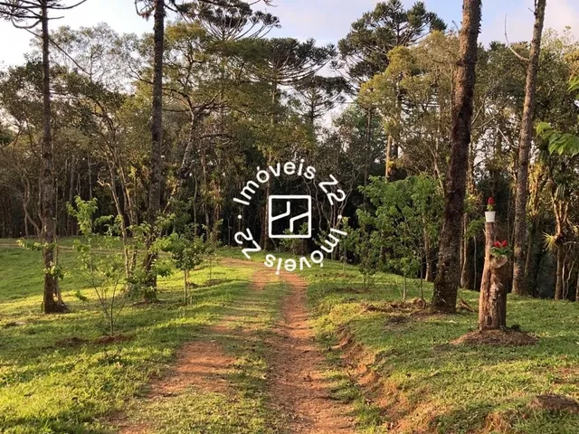Imagem 5: TERRENO A VENDA EM CAMPO ALEGRE