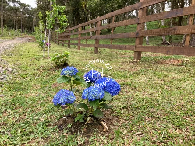 Imagem 6: TERRENO A VENDA EM CAMPO ALEGRE