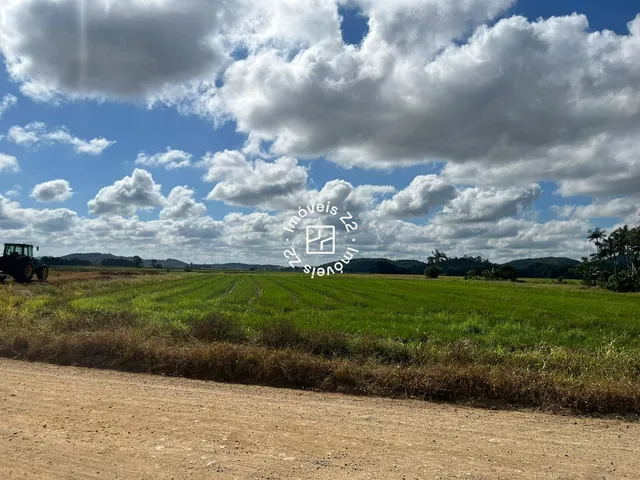 Imagem 5: TERRENO AMPLO A VENDA NO BAIRRO VILA NOVA