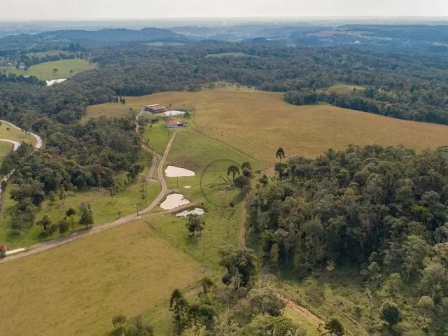 Imagem 3: CHACARA A VENDA EM CAMPO ALEGRE