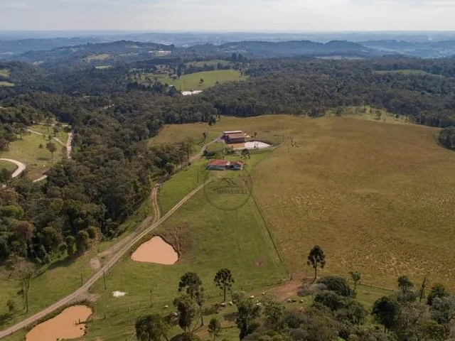 Imagem 4: CHACARA A VENDA EM CAMPO ALEGRE