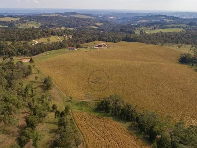 Imagem 5: CHACARA A VENDA EM CAMPO ALEGRE