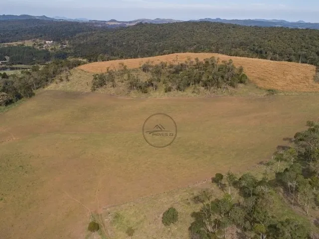 Imagem 6: CHACARA A VENDA EM CAMPO ALEGRE