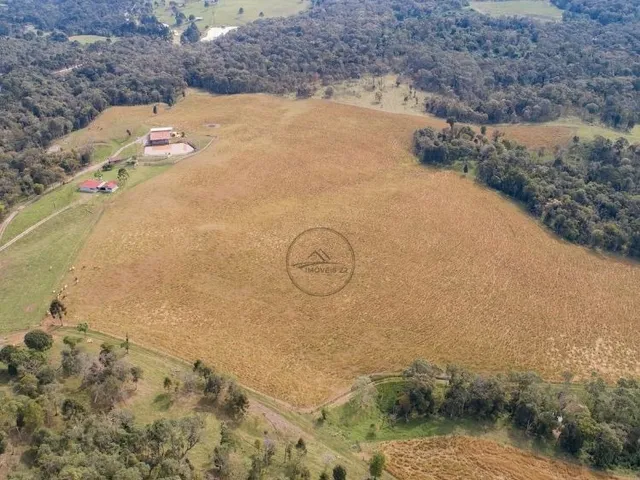 Imagem 8: CHACARA A VENDA EM CAMPO ALEGRE