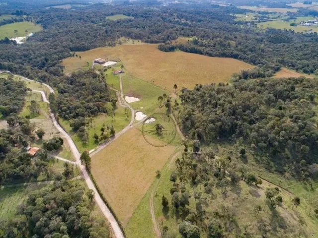 Imagem 9: CHACARA A VENDA EM CAMPO ALEGRE