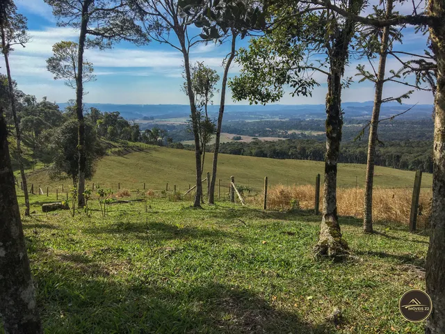 Imagem 12: CHACARA A VENDA EM CAMPO ALEGRE