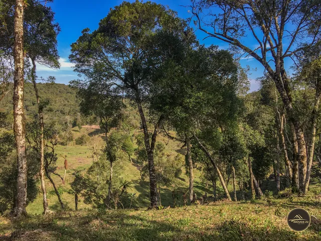 Imagem 13: CHACARA A VENDA EM CAMPO ALEGRE