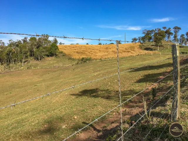 Imagem 15: CHACARA A VENDA EM CAMPO ALEGRE