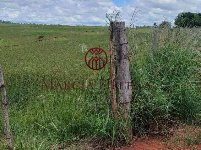 Imagem 9: Sítio à venda em Itapetininga, Morro do Alto, 3000Alqueires Paulista