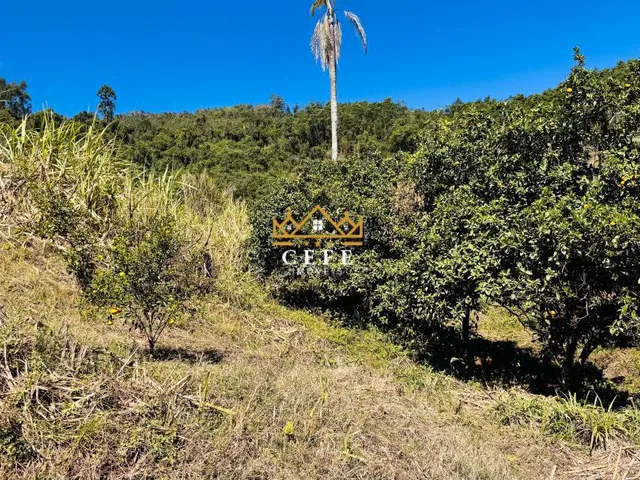 Imagem: Sítio / Chácara para Venda no bairro Linha