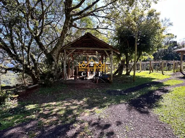 Imagem 4: Sítio / Chácara para Venda no bairro Recosta em São Francisco de Paula