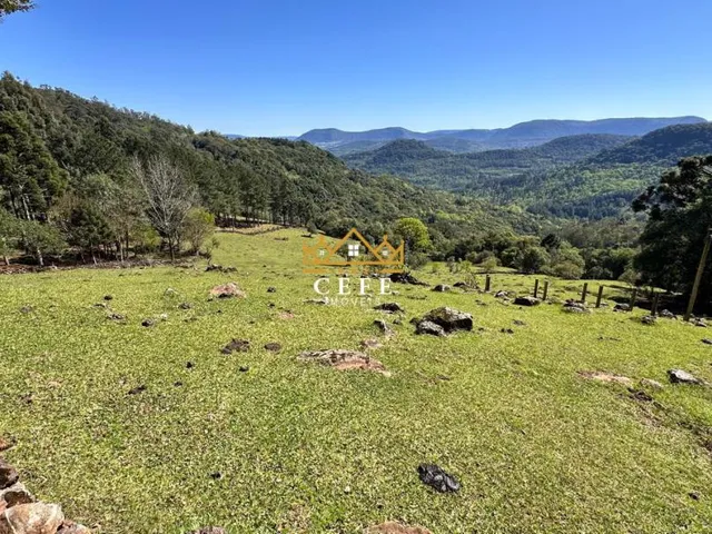 Imagem 8: Sítio / Chácara para Venda no bairro Recosta em São Francisco de Paula