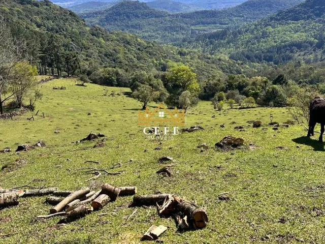 Imagem 13: Sítio / Chácara para Venda no bairro Recosta em São Francisco de Paula