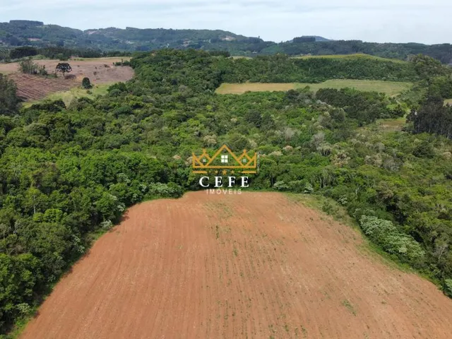 Imagem 6: Chácara Sítio com 2 Dormitorio(s) localizado(a) no bairro Boa Vista do Herval em Santa