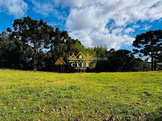 Imagem 4: Sítio / Chácara 5 quartos para Venda no bairro Boa Vista do Herval em Santa Maria do