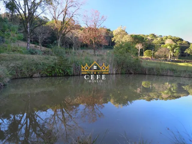 Imagem 2: Sítio à venda em Dois Irmãos, Zona Rural - Oportunidade única!