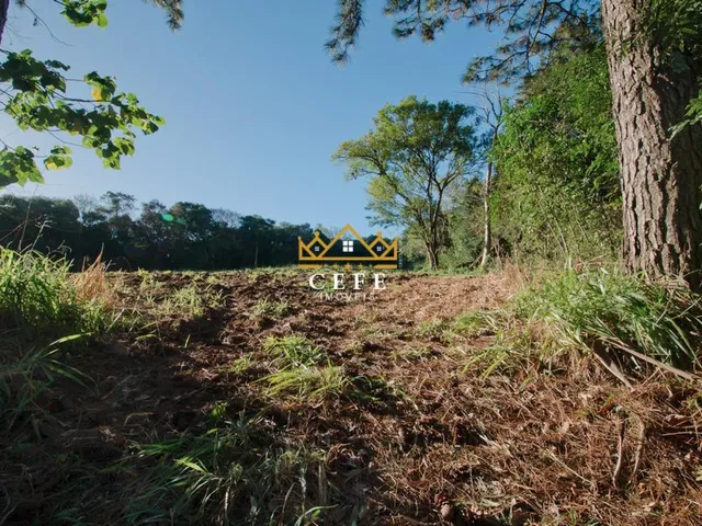 Imagem 4: Sítio à venda em Dois Irmãos, Zona Rural - Oportunidade única!