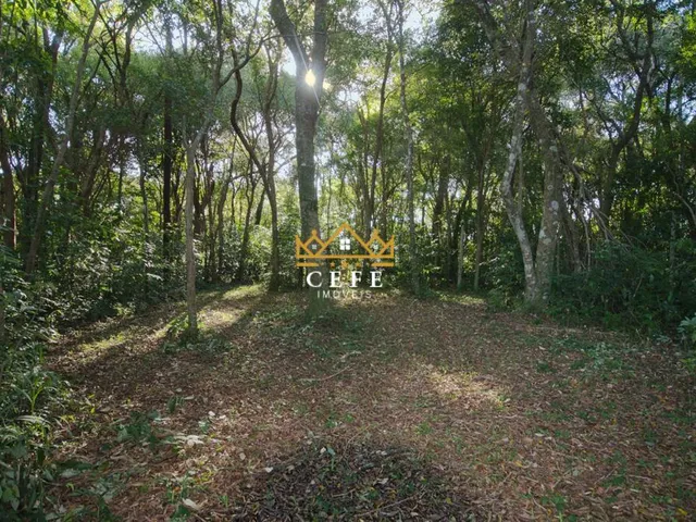 Imagem 6: Sítio à venda em Dois Irmãos, Zona Rural - Oportunidade única!