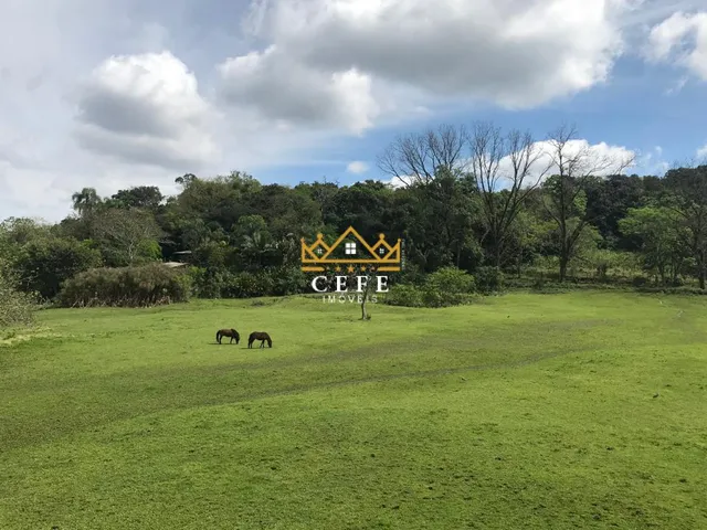 Imagem 7: Sítio à venda em Dois Irmãos, Zona Rural - Oportunidade única!