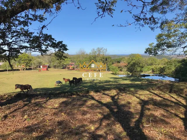 Imagem 11: Sítio à venda em Dois Irmãos, Zona Rural - Oportunidade única!