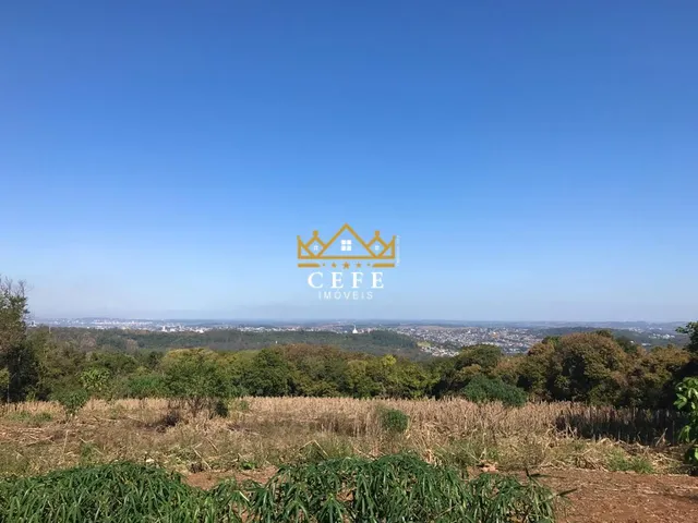 Imagem 13: Sítio à venda em Dois Irmãos, Zona Rural - Oportunidade única!