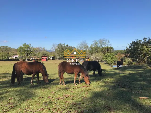 Imagem 14: Sítio à venda em Dois Irmãos, Zona Rural - Oportunidade única!