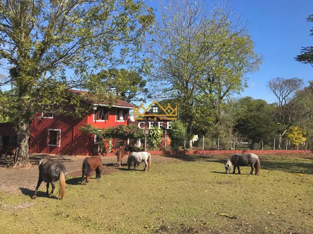 Imagem 15: Sítio à venda em Dois Irmãos, Zona Rural - Oportunidade única!