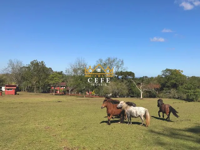Imagem 16: Sítio à venda em Dois Irmãos, Zona Rural - Oportunidade única!